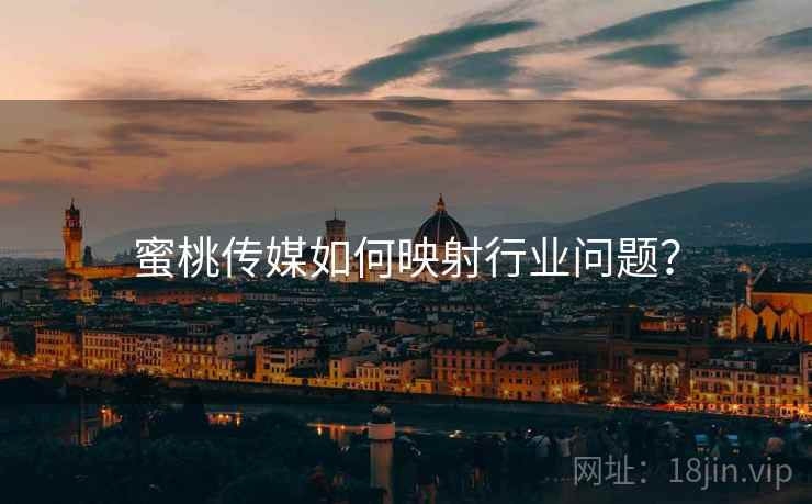 蜜桃传媒如何映射行业问题？  第2张