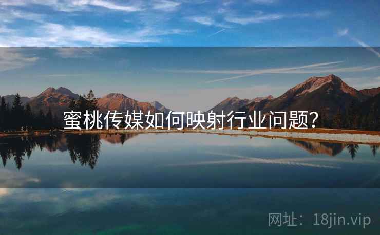蜜桃传媒如何映射行业问题？  第1张