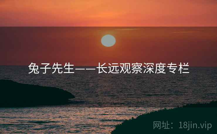 兔子先生——长远观察深度专栏  第1张