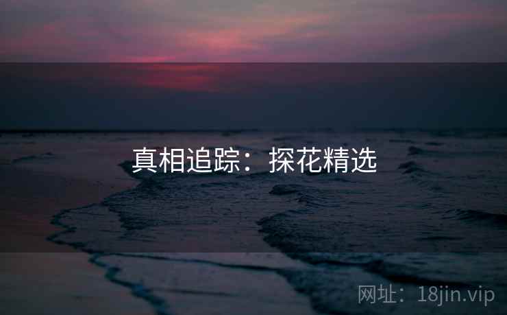 真相追踪：探花精选  第2张