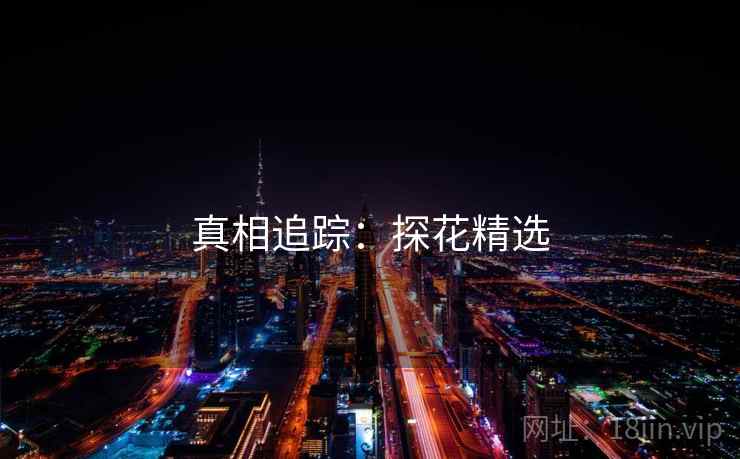 真相追踪：探花精选  第1张