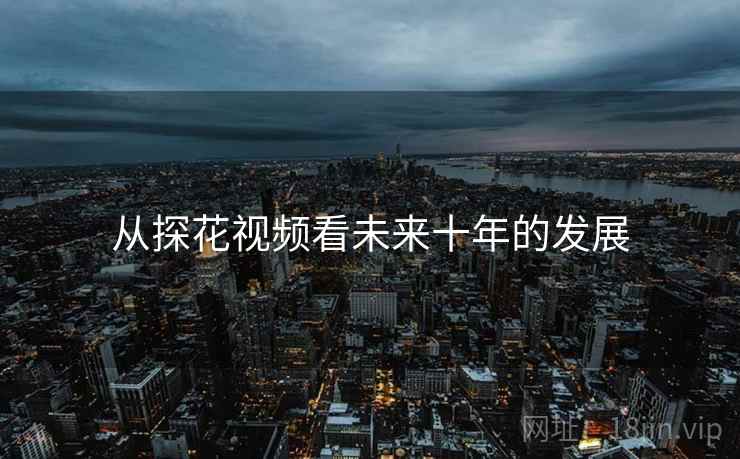 从探花视频看未来十年的发展  第2张
