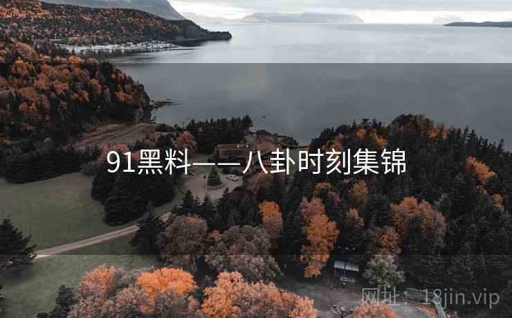 91黑料——八卦时刻集锦  第2张