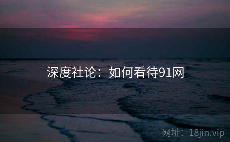 深度社论：如何看待91网  第2张