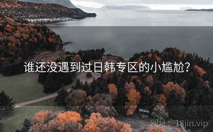 谁还没遇到过日韩专区的小尴尬？  第1张