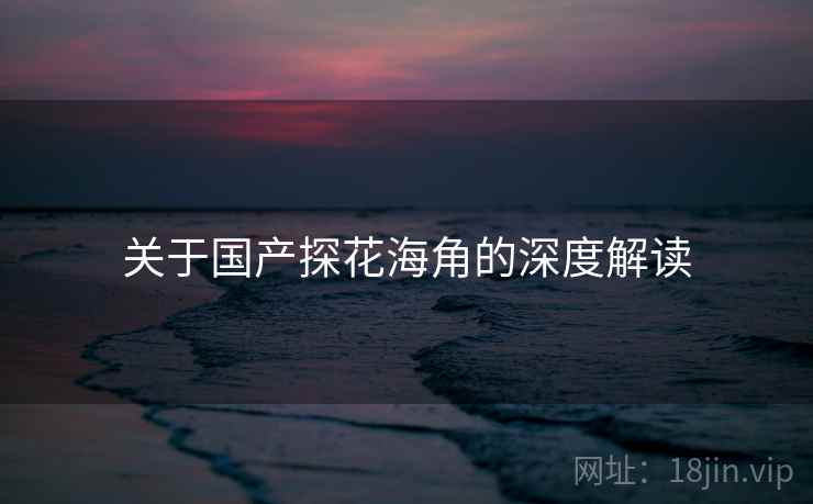 关于国产探花海角的深度解读  第1张
