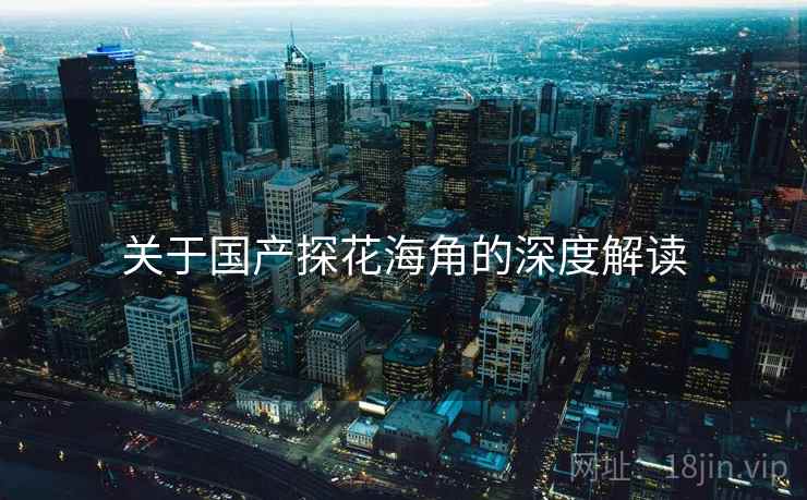 关于国产探花海角的深度解读  第2张