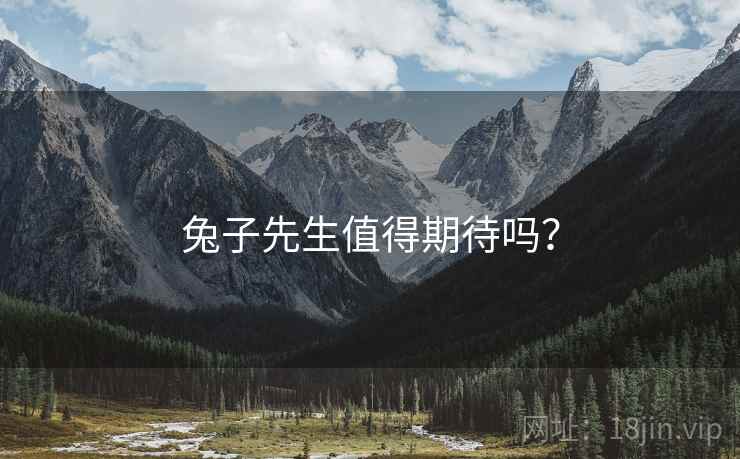 兔子先生值得期待吗？  第2张