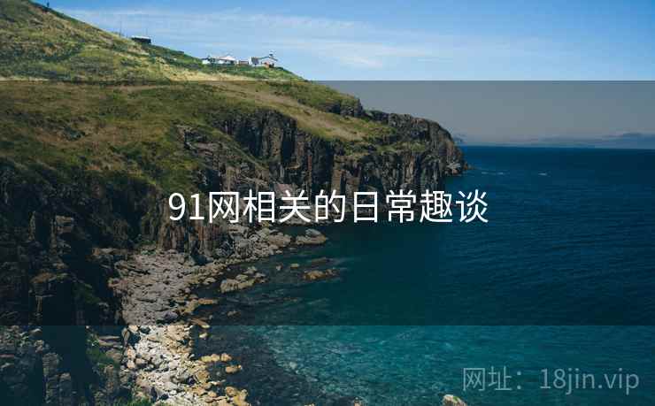 91网相关的日常趣谈  第2张