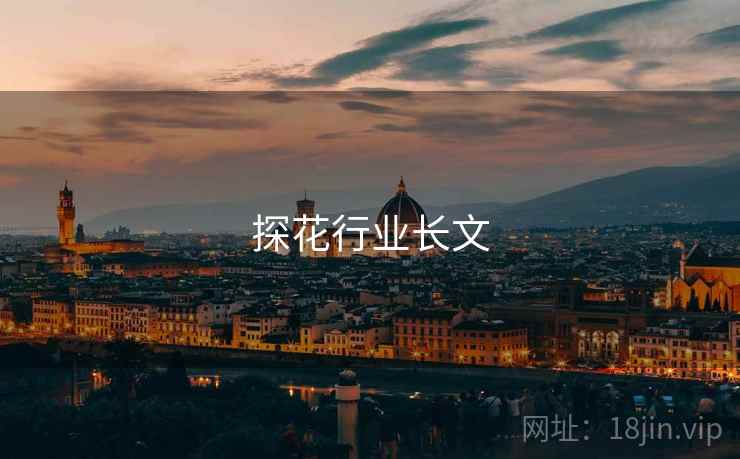 探花行业长文  第2张