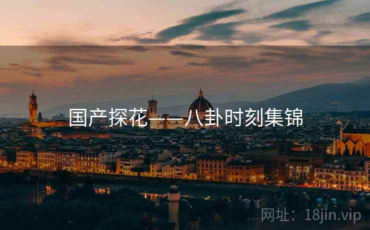 国产探花——八卦时刻集锦  第2张