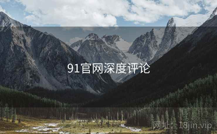 91官网深度评论  第2张
