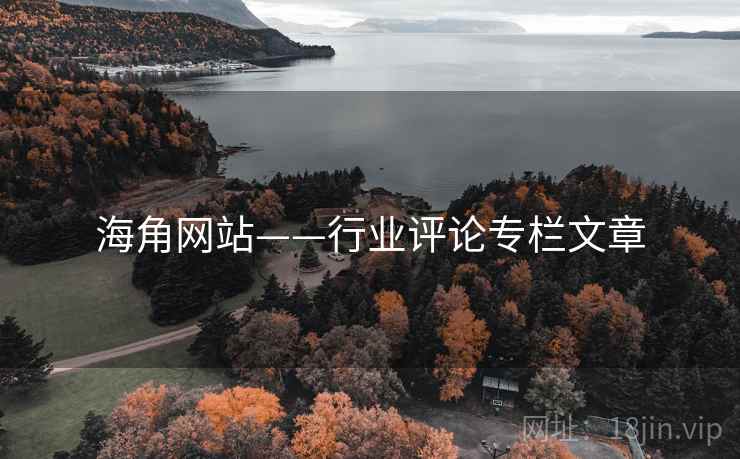 海角网站——行业评论专栏文章  第1张