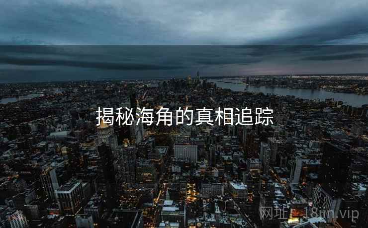 揭秘海角的真相追踪  第2张 揭秘海角的真相追踪  第2张