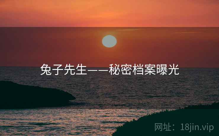 兔子先生——秘密档案曝光  第2张 兔子先生——秘密档案曝光  第2张