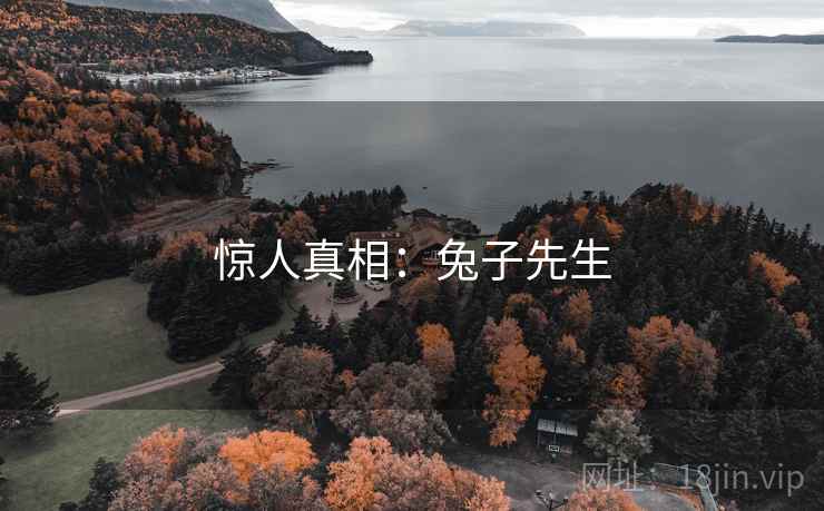 惊人真相:兔子先生  第2张 惊人真相:兔子先生  第2张