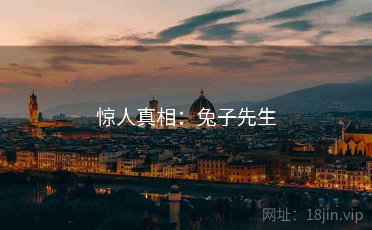 惊人真相:兔子先生  第1张 惊人真相:兔子先生  第1张